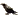 Päch